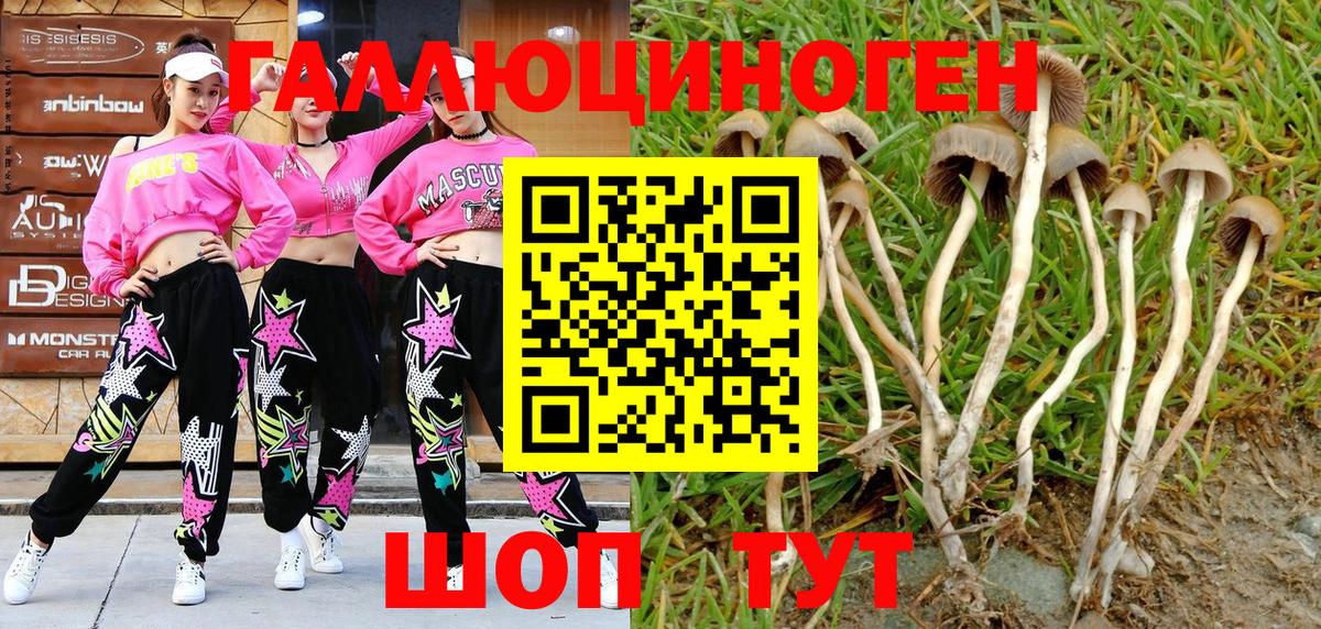Галлюциногенные грибы Psilocybe  Вход с VPN  Алушта 